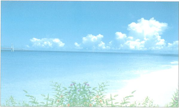 941.하늬바다